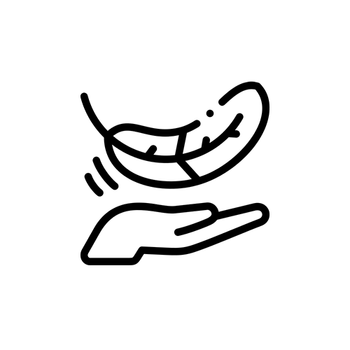Icon 3