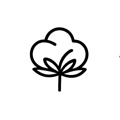 Icon 5
